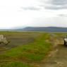 En 1987 Lago Nakuru fue declarado el primer santuario de rinocerontes de Kenia