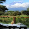 Las vistas desde la piscina del Tawi Lodge son espectaculares, con el Kilimajaro al fondo