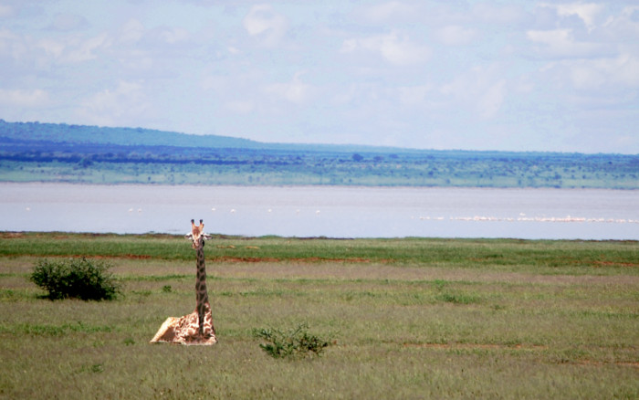 Lago Manyara