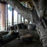 Ngorongoro Cráter Lodge se encuentra perfectamente integrado en la naturaleza