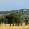 Kirawira Tented Camp es un exquisito establecimiento de lujo situado en el corredor del oeste del Serengeti
