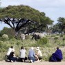 Los safaris a pie son una de las características de esta fabulosa concesión. Sinya, Tanzania