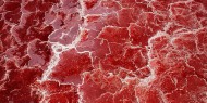 Lago Natron presenta presenta un color rojo brillante derivado de los microorganismos que se alimentan de su sal