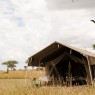 Serengeti Kati Kati Tented Camp es un campamento móvil situado en zona central del Serengeti