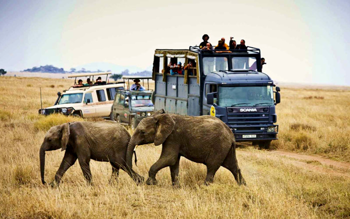 Safaris en camión