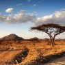 El paisaje principal de Samburu es una sabana semiárida de matorrales, espinos y acacias