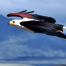 El águila pescadora está presente en Lago Naivasha, el único de agua dulce dentro del Valle del Rift