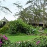 Lake Nukuru Lodge se encuentra envuelto por un maravillo jardín tropical