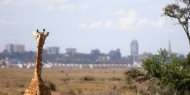 La ciudad vista desde el Parque Nacional de Nairobi