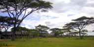 Ndutu Safari Lodge: ubicación, entorno, servicio y sencillez