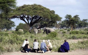 Los safaris a pie son una de las características de esta fabulosa concesión. Sinya, Tanzania