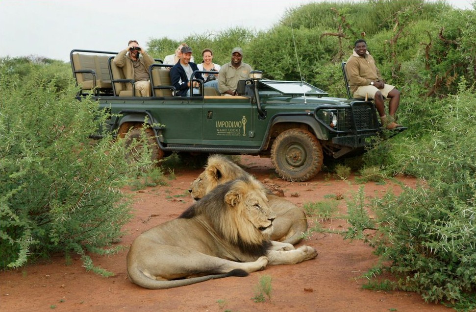 safari por africa
