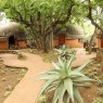 Shakaland Hotel & Zulu cultutal village